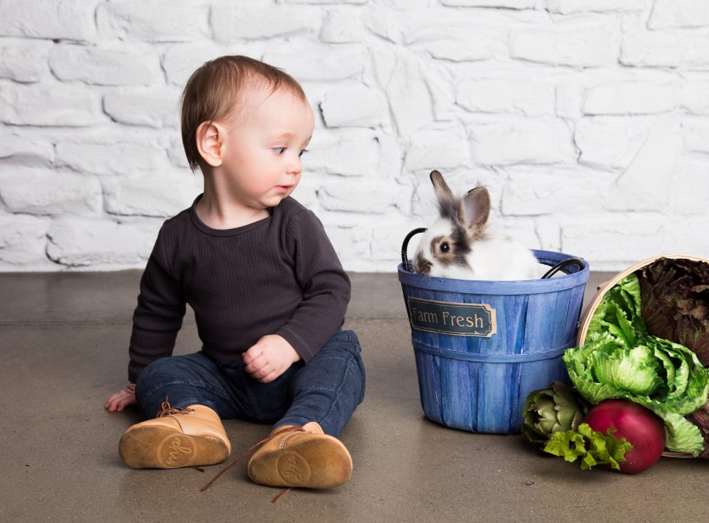 bunny photoshoot