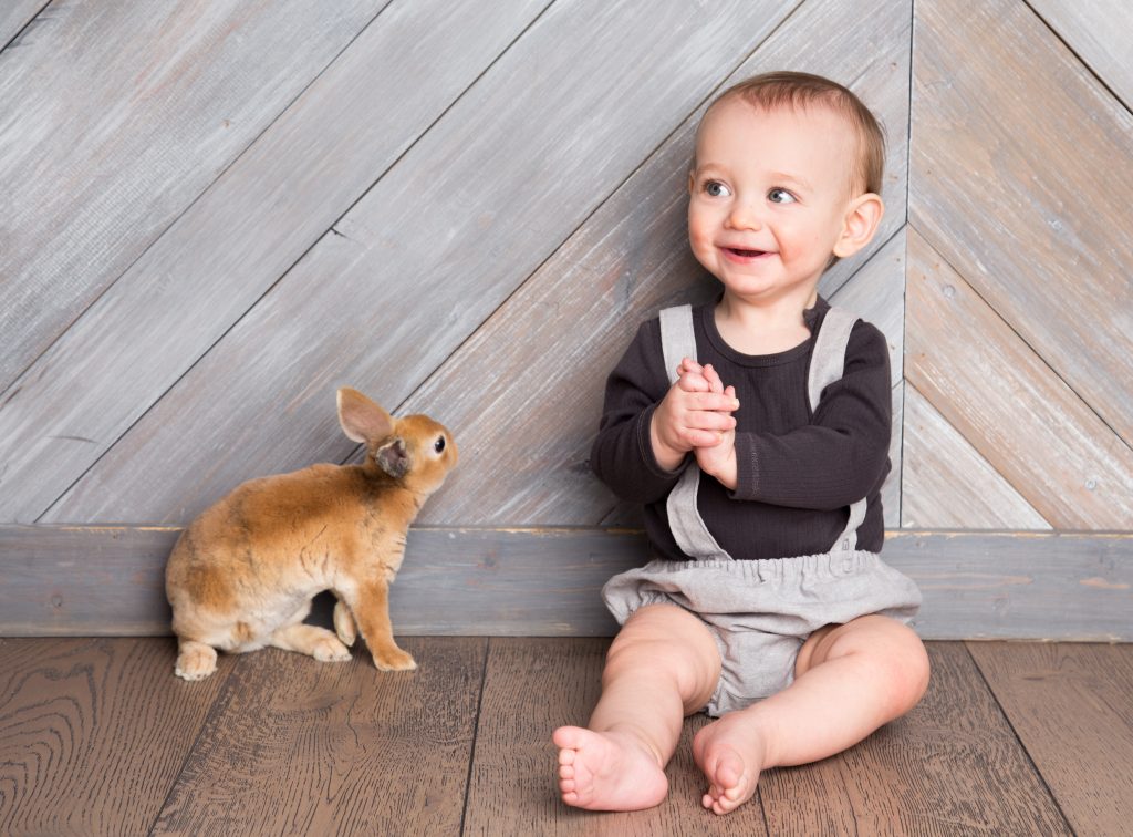 Bunny Photoshoot With Camera Shy Photography Studio